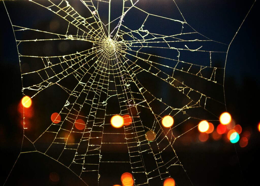 The Web